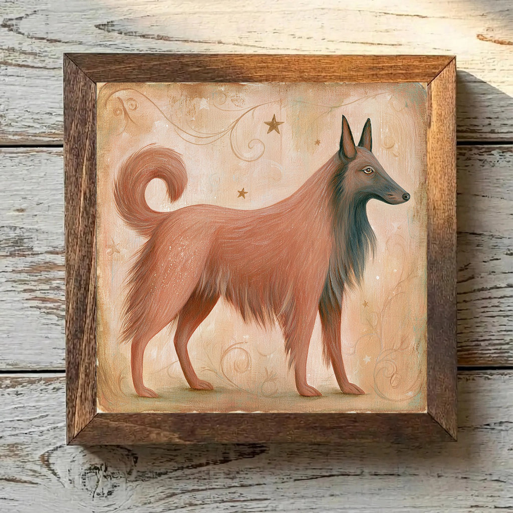 Belgian Tervuren Russet Mahogany - Variation 3