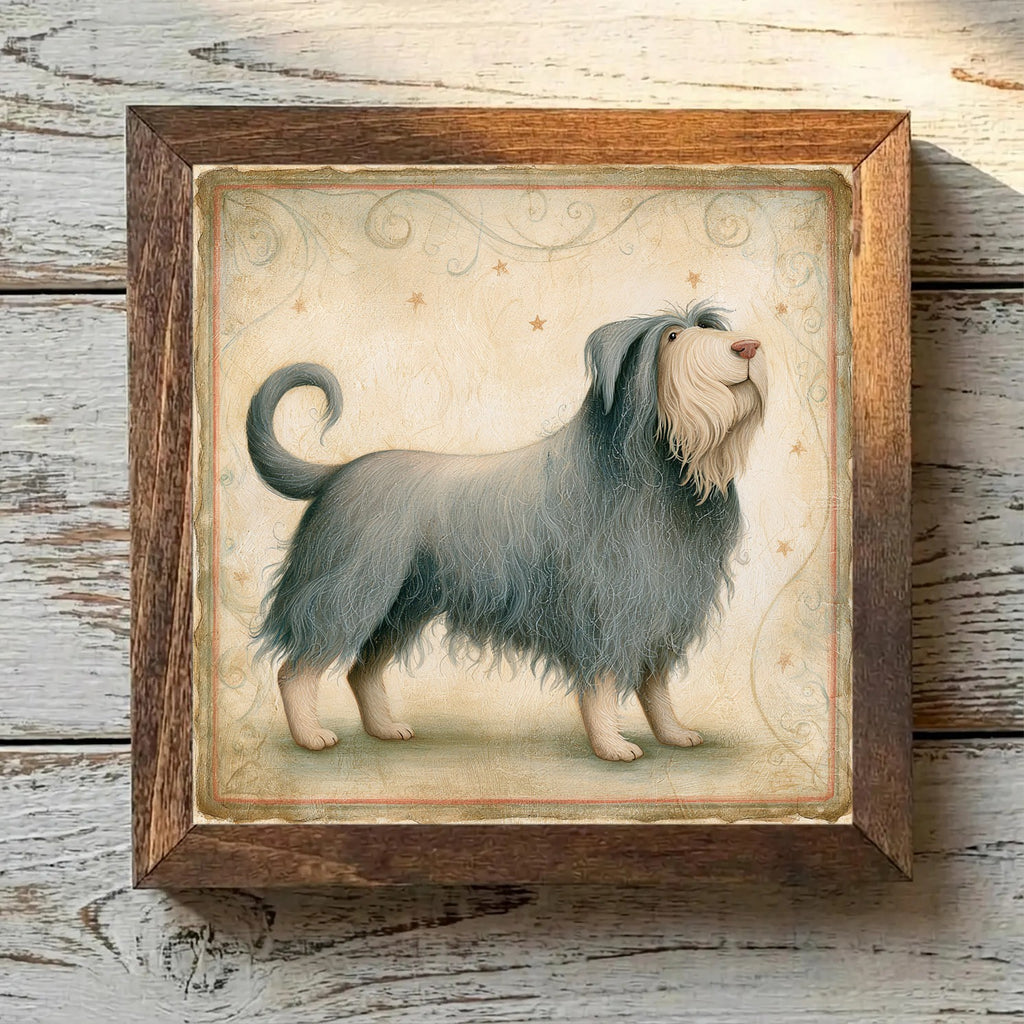 Bergamasco Sheepdog Isabella - Variation 1