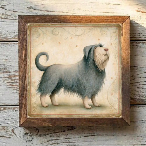 Bergamasco Sheepdog Isabella - Variation 1