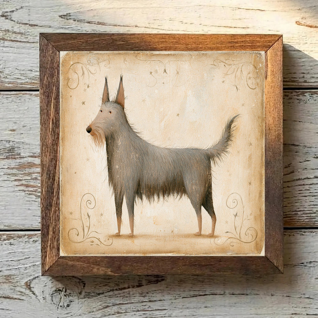 Berger Picard Gray-Brown - Variation 1