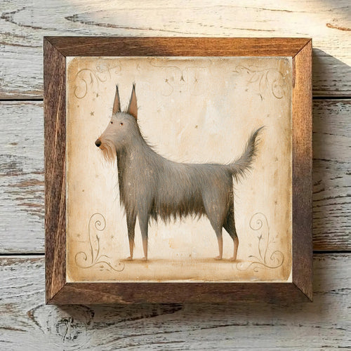Berger Picard Gray-Brown - Variation 1