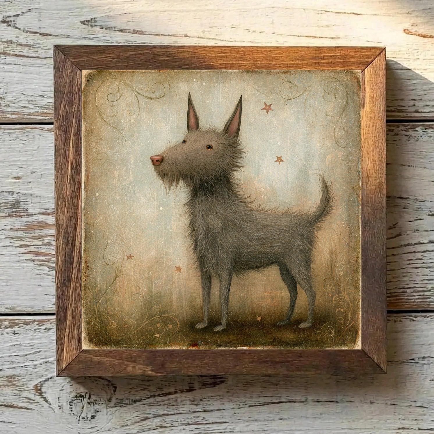 Berger Picard Gray-Brown - Variation 3