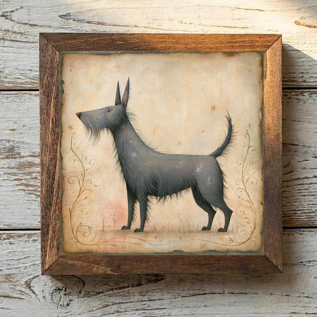Berger Picard Gray-Brown - Variation 4
