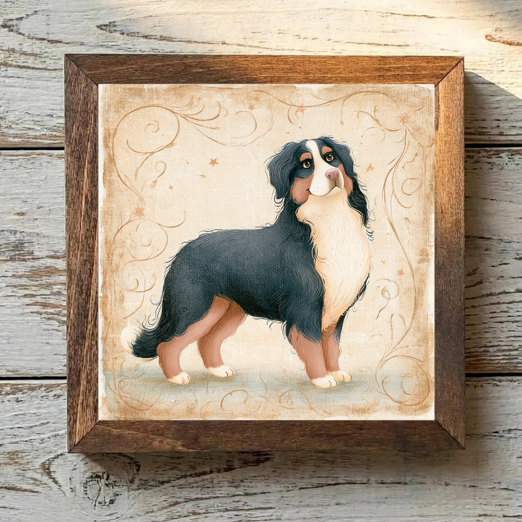 Bernese Mountain Dog Tricolor - Variation 1