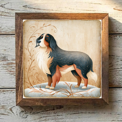 Bernese Mountain Dog Tricolor - Variation 2