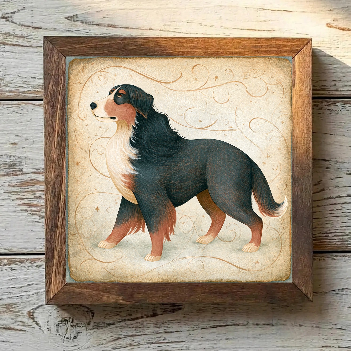 Bernese Mountain Dog Tricolor - Variation 3