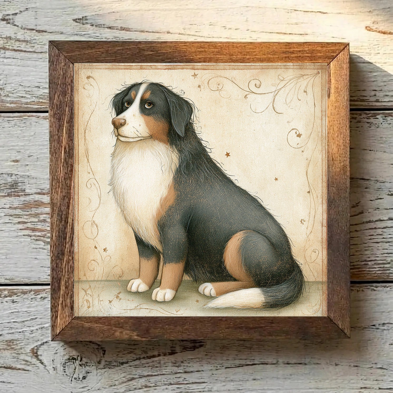 Bernese Mountain Dog Tricolor - Variation 4