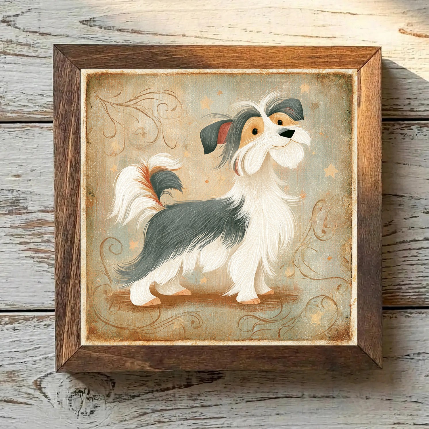 Biewer Terrier Tricolor - Variation 4