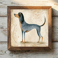 Bluetick Coonhound Bluetick - Variation 1