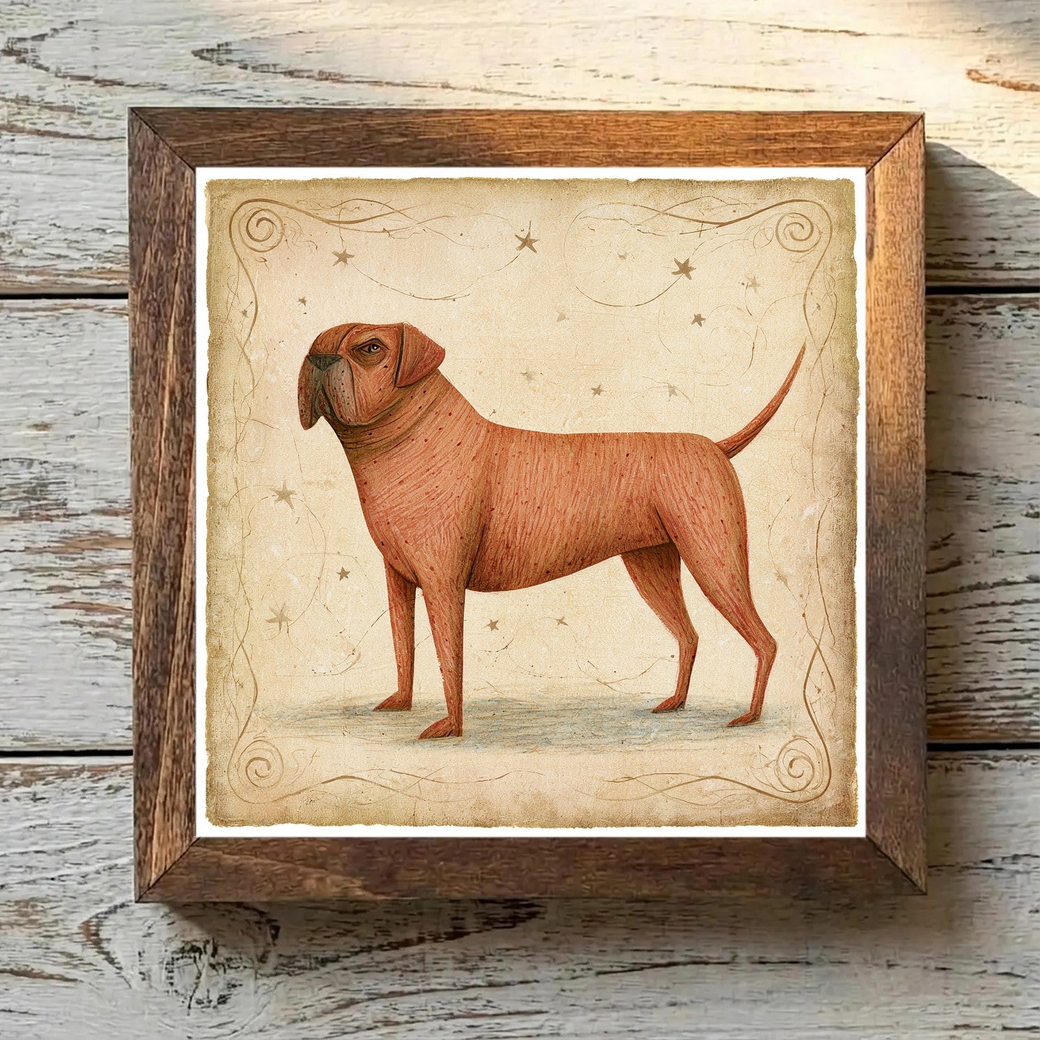 Boerboel Red - Variation 3