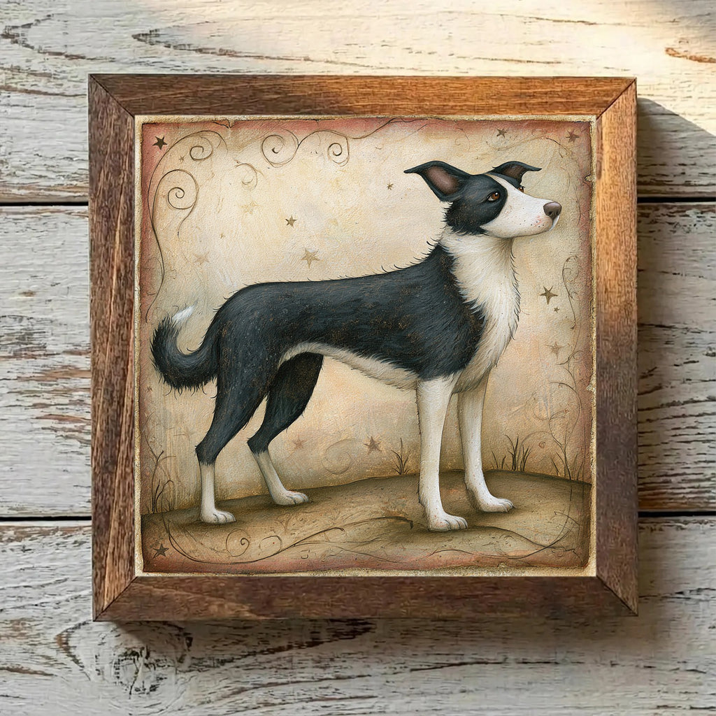Border Collie Black & White - Variation 1