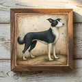 Border Collie Black & White - Variation 1