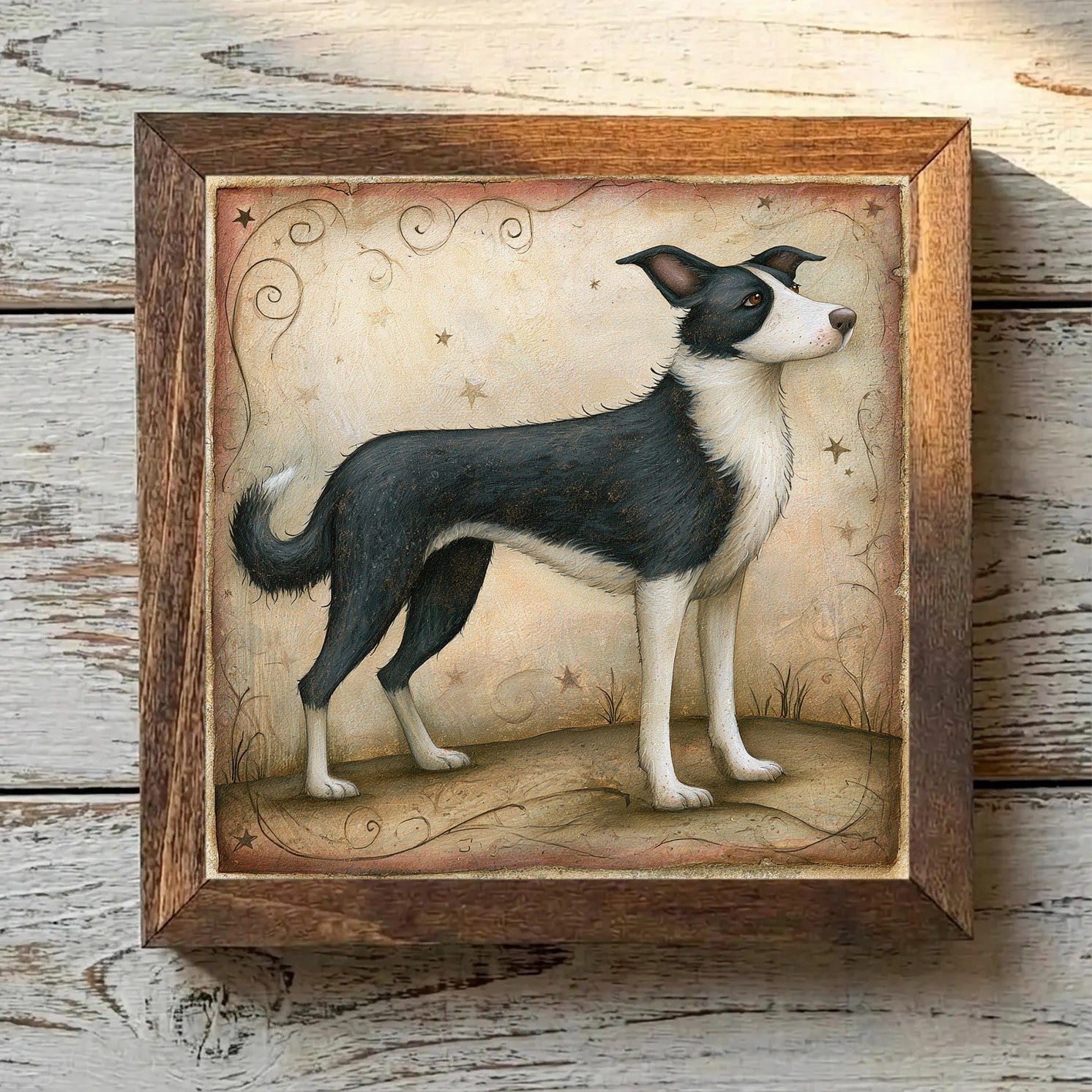 Border Collie Black & White - Variation 1