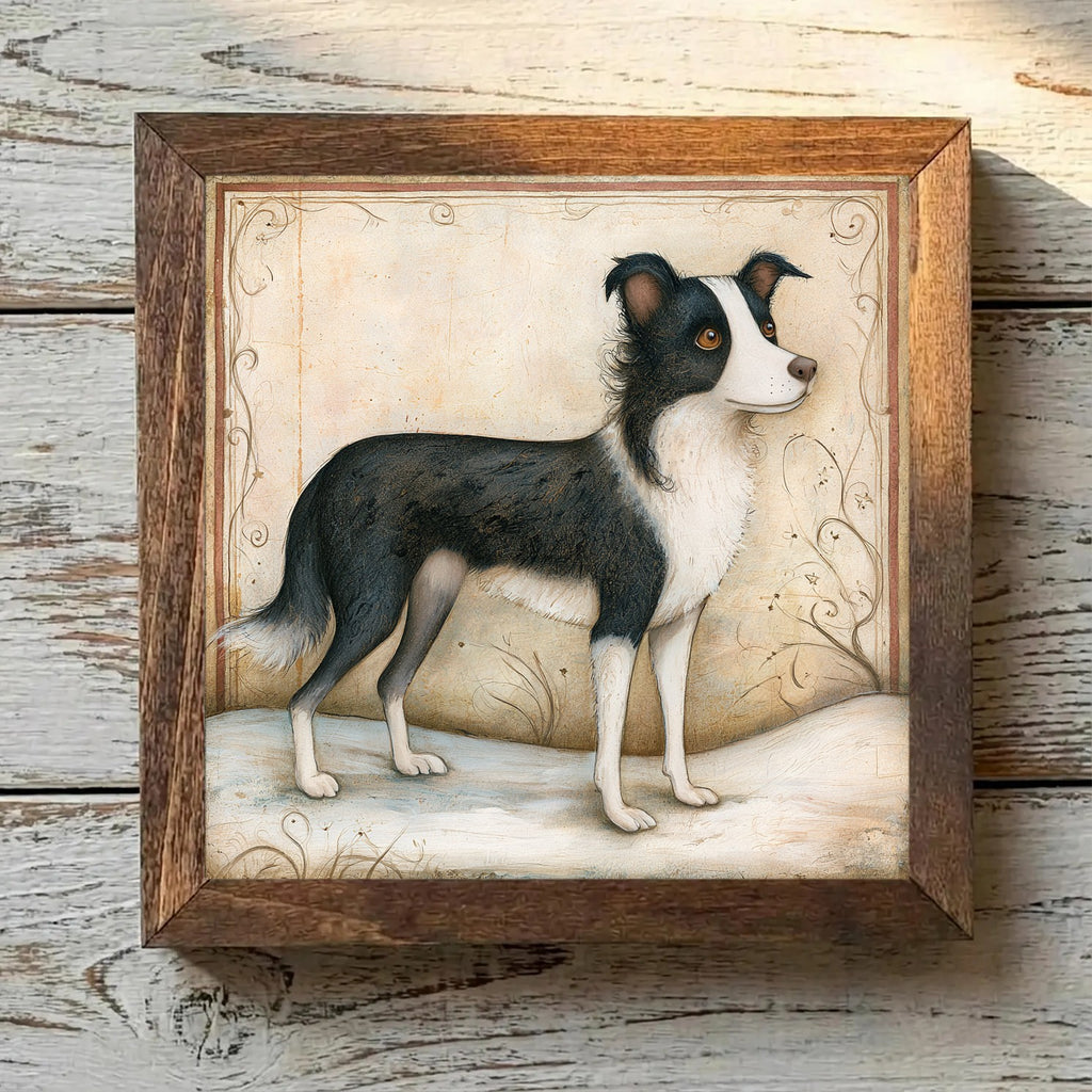Border Collie Black & White - Variation 2