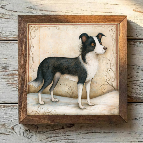 Border Collie Black & White - Variation 2