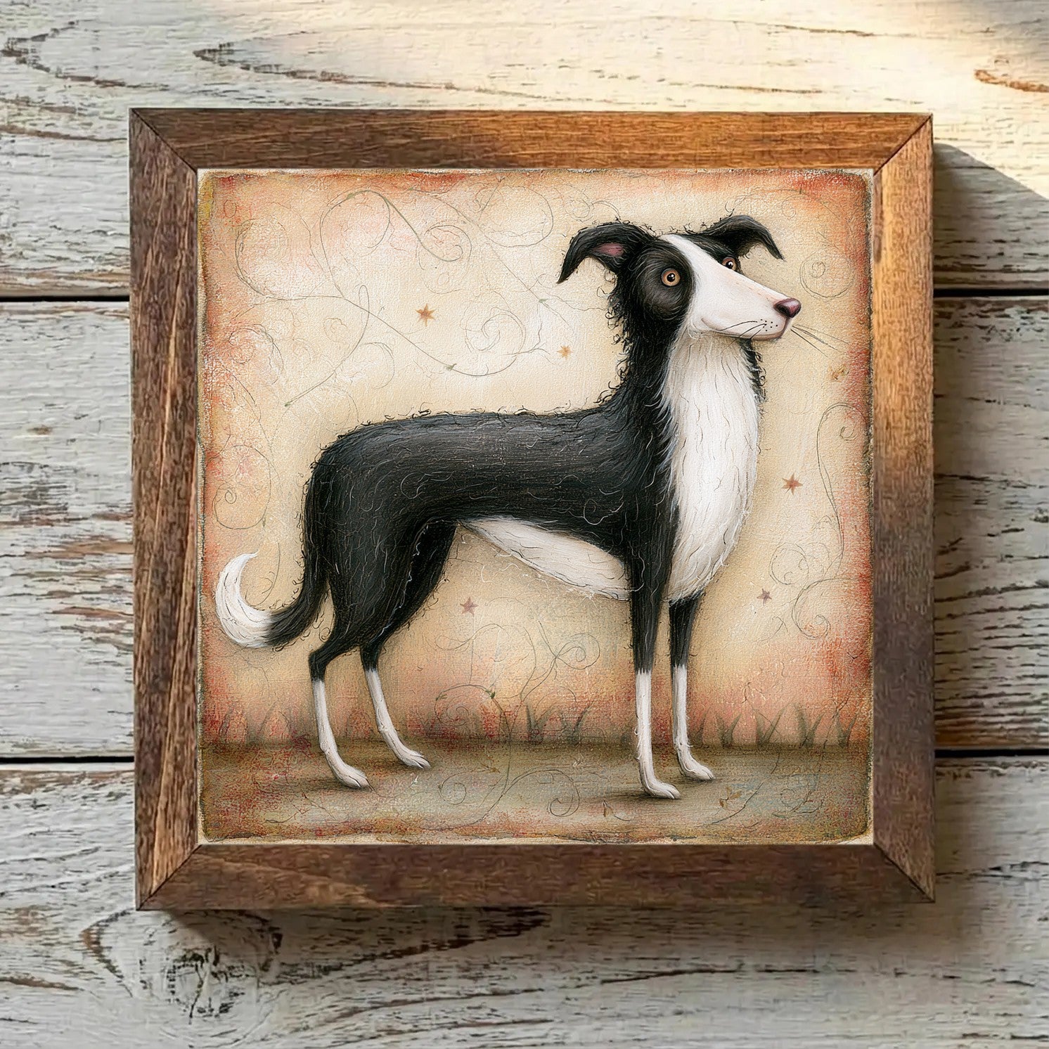 Border Collie Black & White - Variation 4