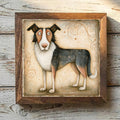 Border Collie Tricolor - Variation 1