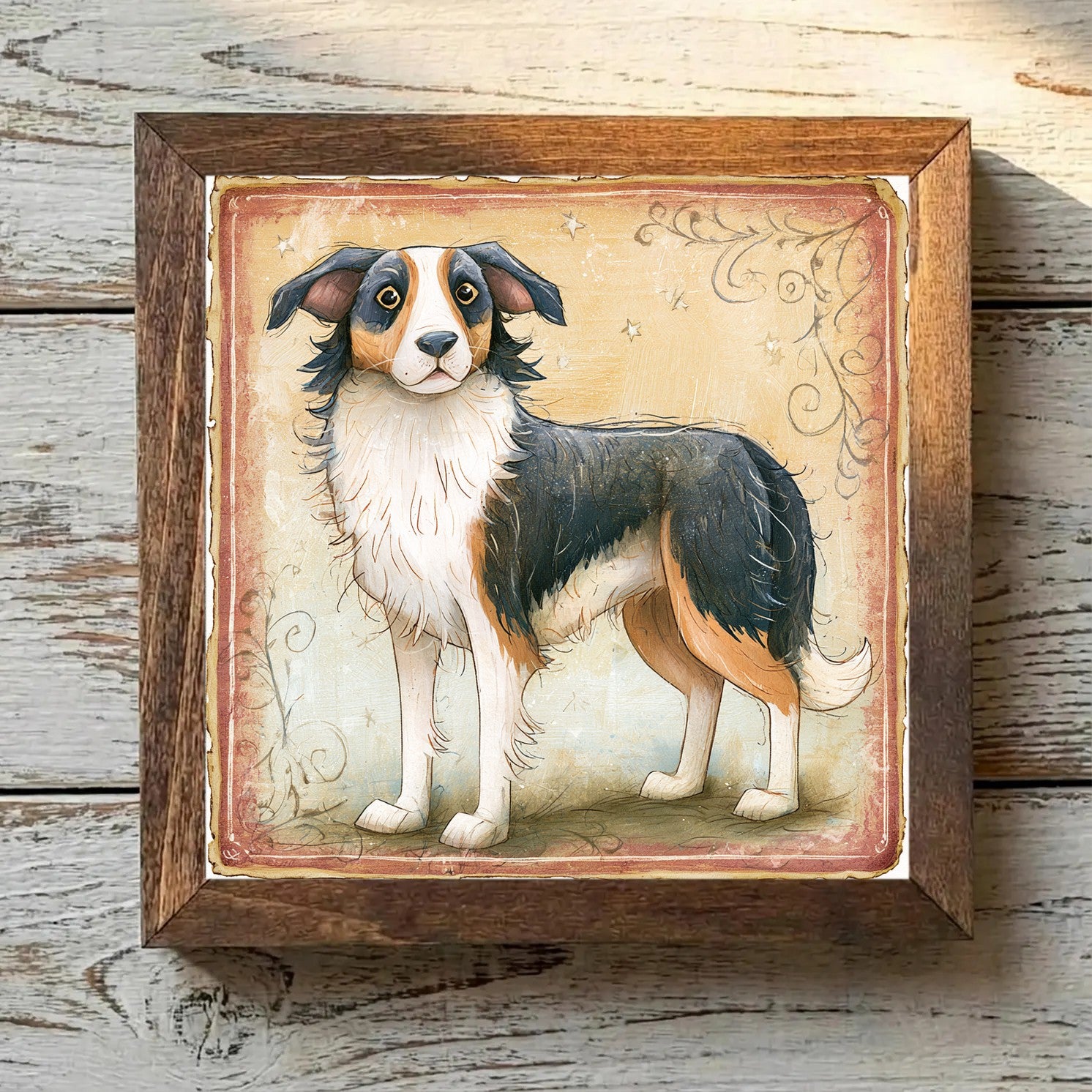 Border Collie Tricolor - Variation 3