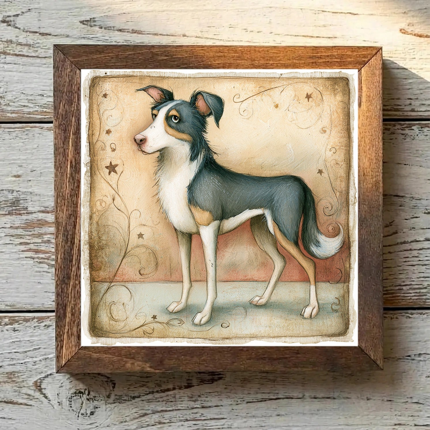Border Collie Tricolor - Variation 4