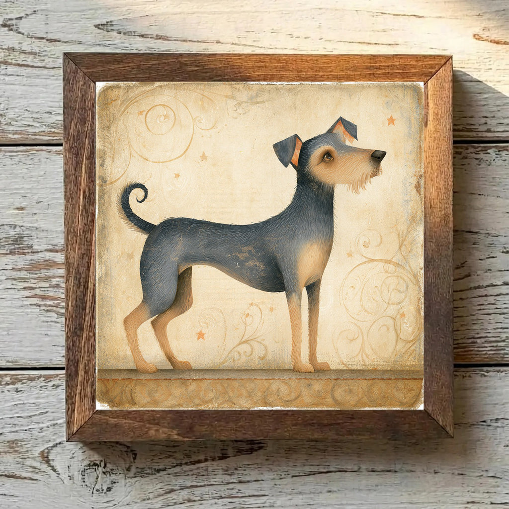 Border Terrier Blue & Tan - Variation 1