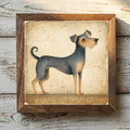 Border Terrier Blue & Tan - Variation 1