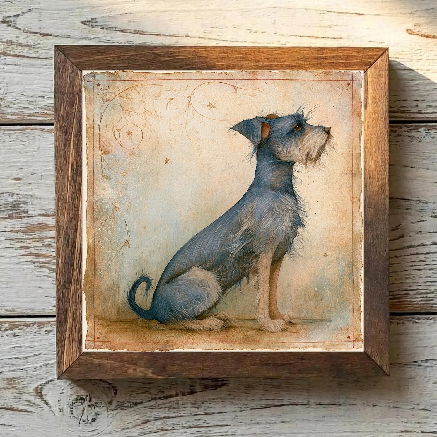 Border Terrier Blue & Tan - Variation 2