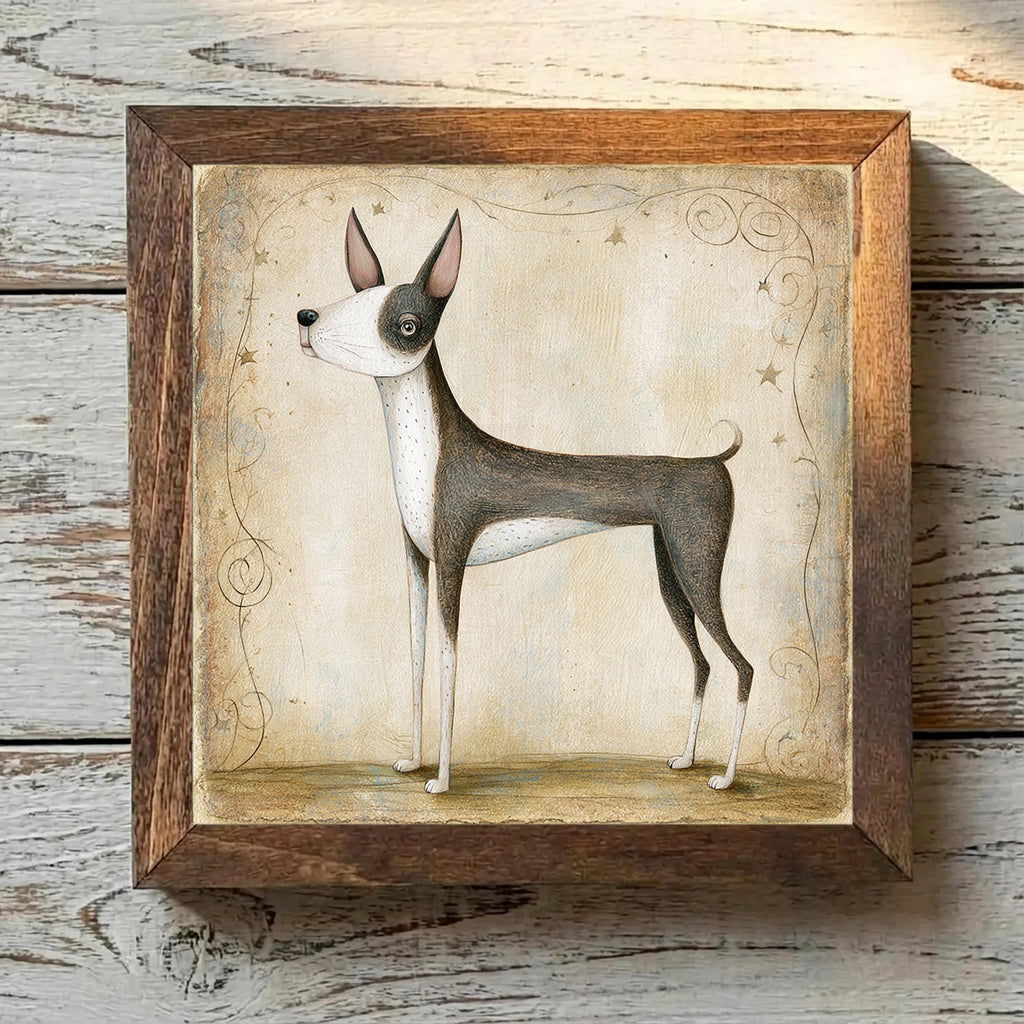 Boston Terrier Brindle & White - Variation 1