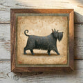 Bouvier des Flandres Brindle - Variation 1