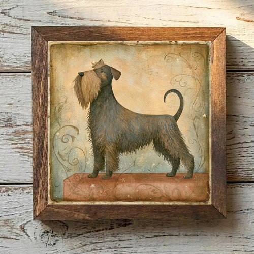 Bouvier des Flandres Brindle - Variation 2