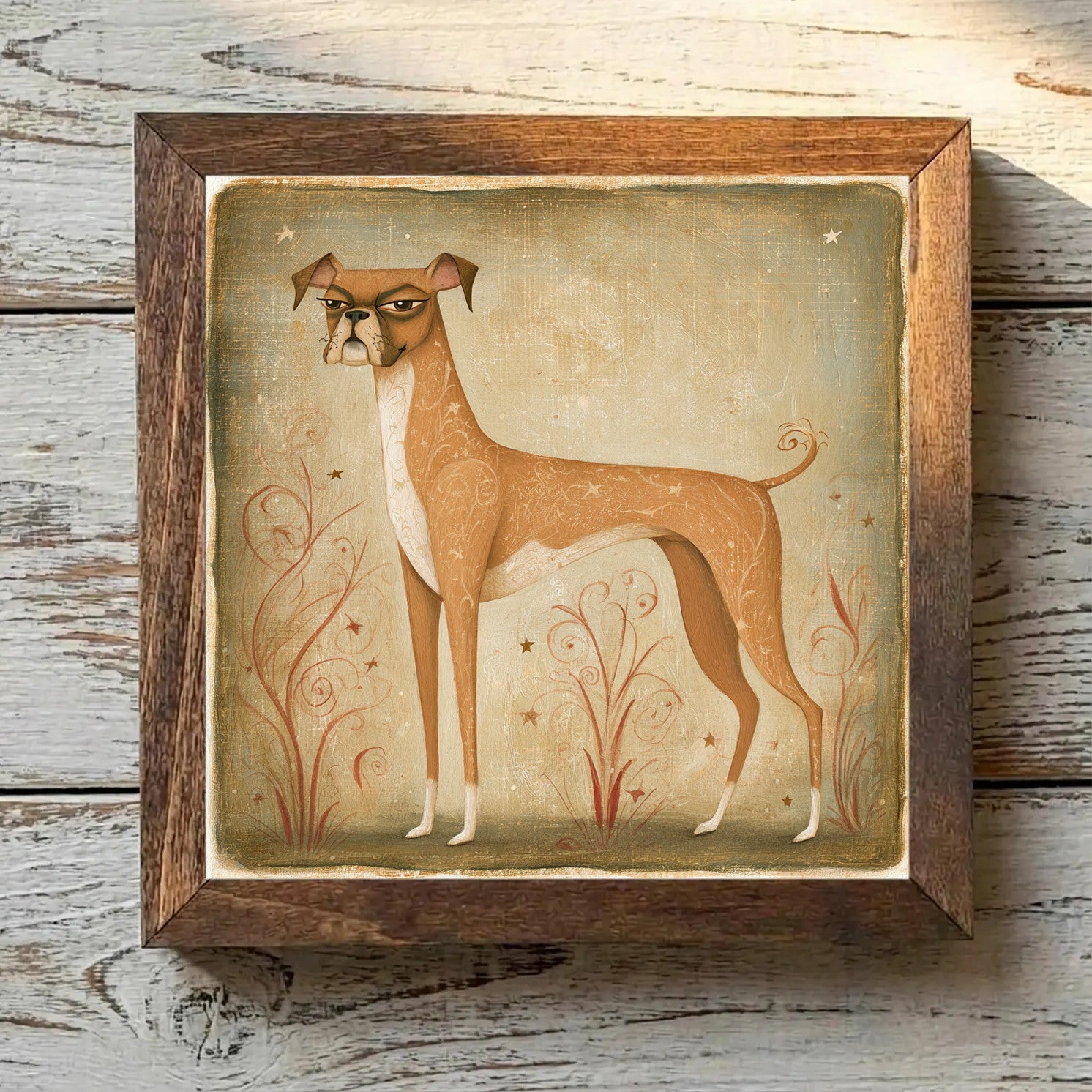 Boxer Fawn - Variation 1