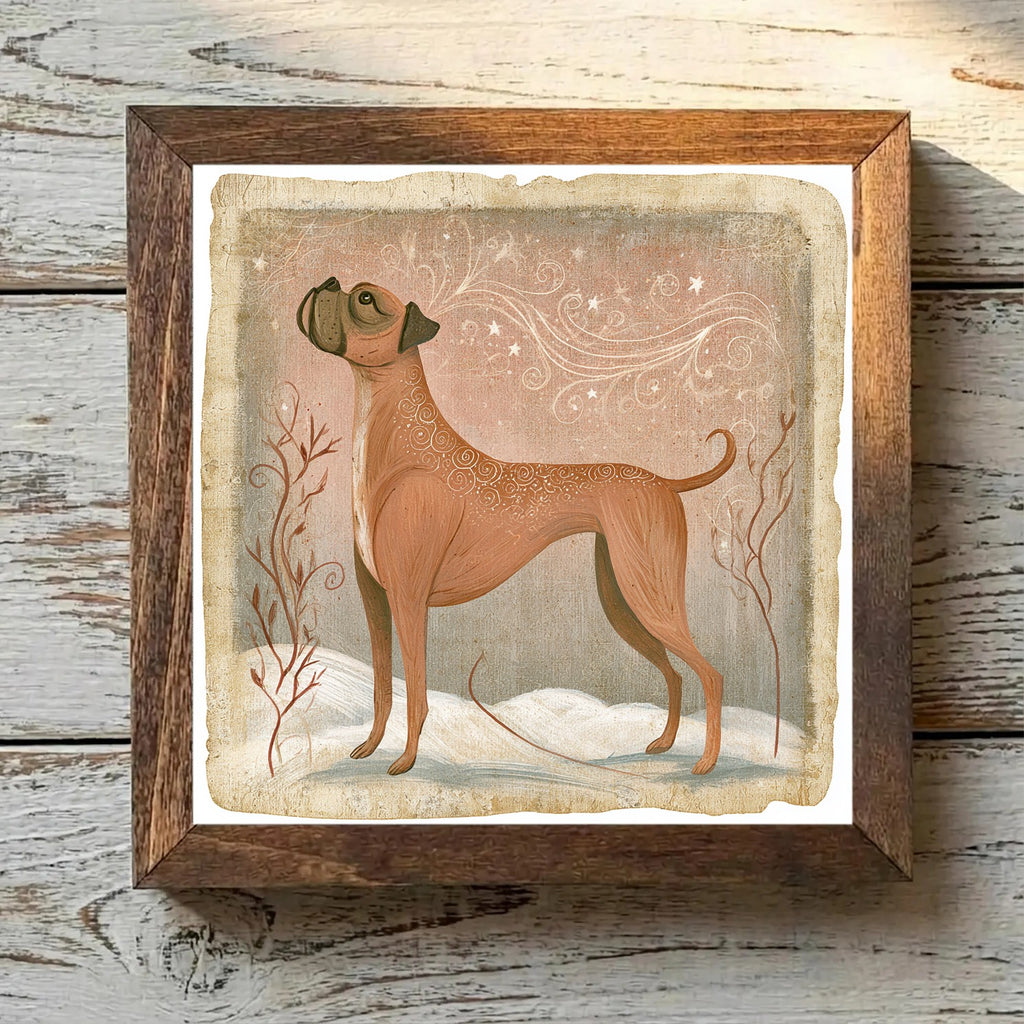 Boxer Fawn - Variation 4