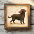 Boykin Spaniel Liver - Variation 1