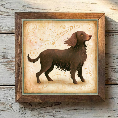 Boykin Spaniel Liver - Variation 1