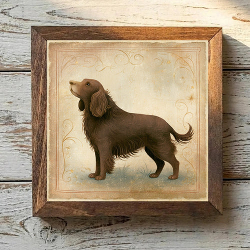 Boykin Spaniel Liver - Variation 2