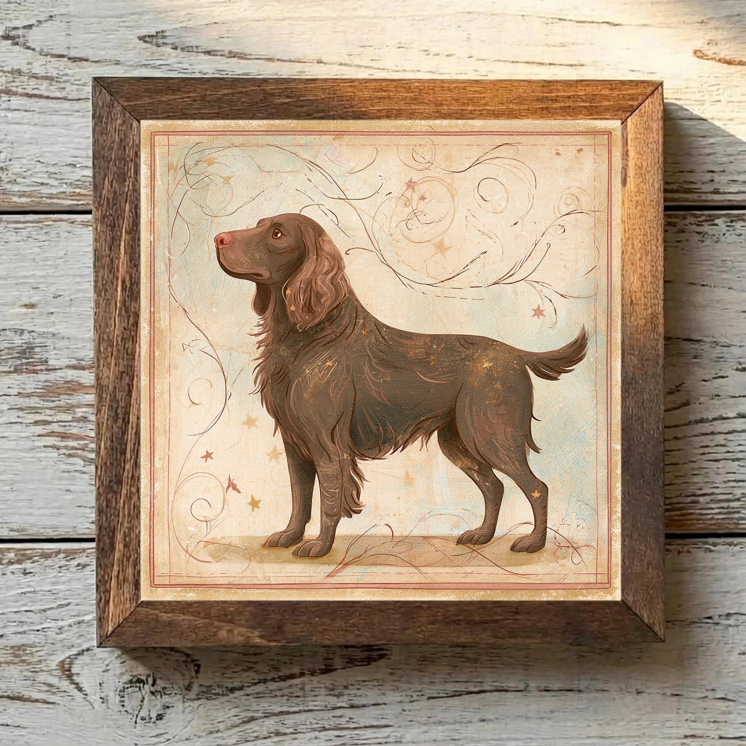 Boykin Spaniel Liver - Variation 3