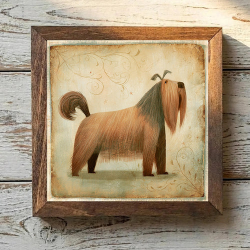 Briard Tawny - Variation 2