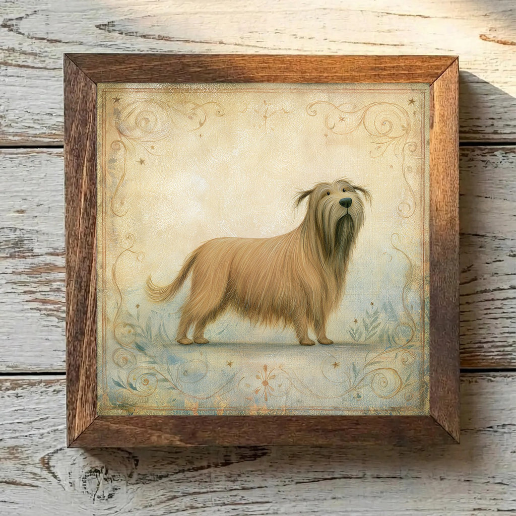 Briard Tawny - Variation 4