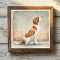 Brittany Orange & White - Variation 1