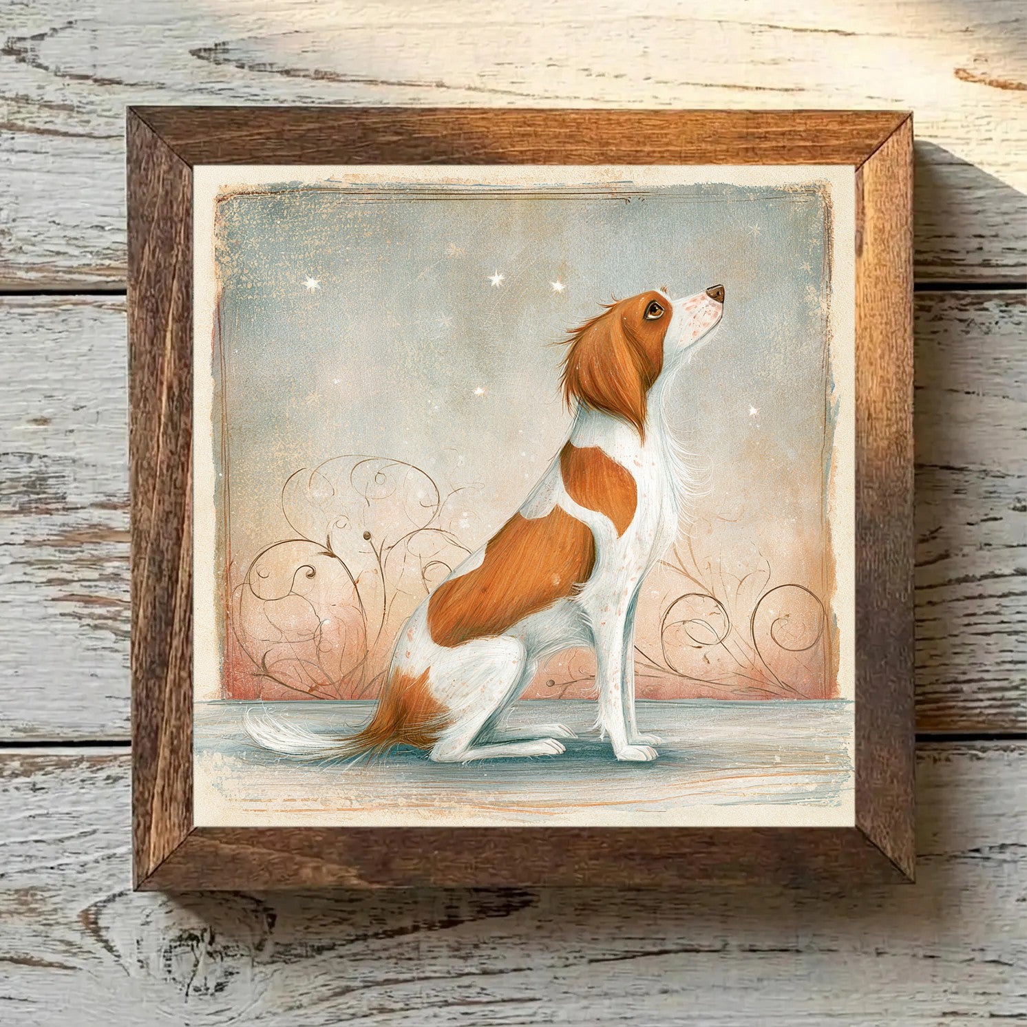 Brittany Orange & White - Variation 1