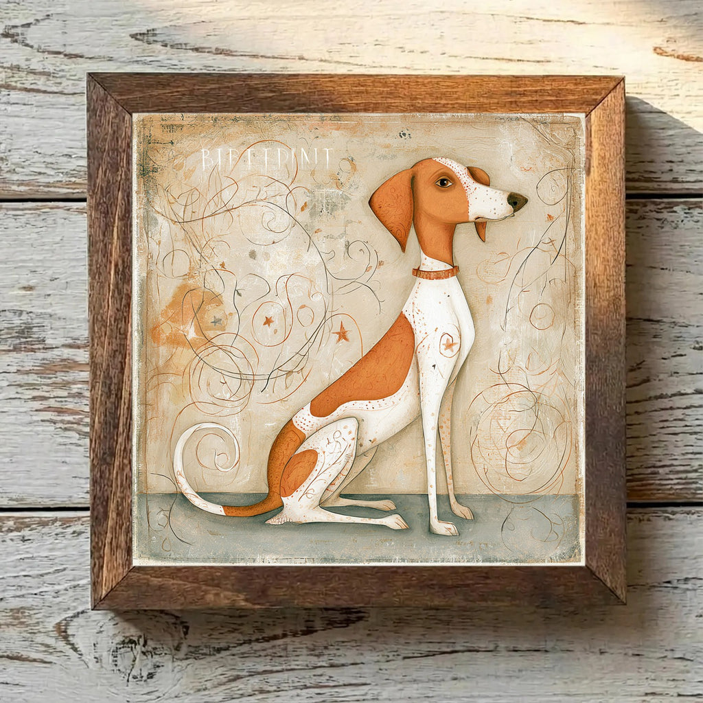 Brittany Orange & White - Variation 2