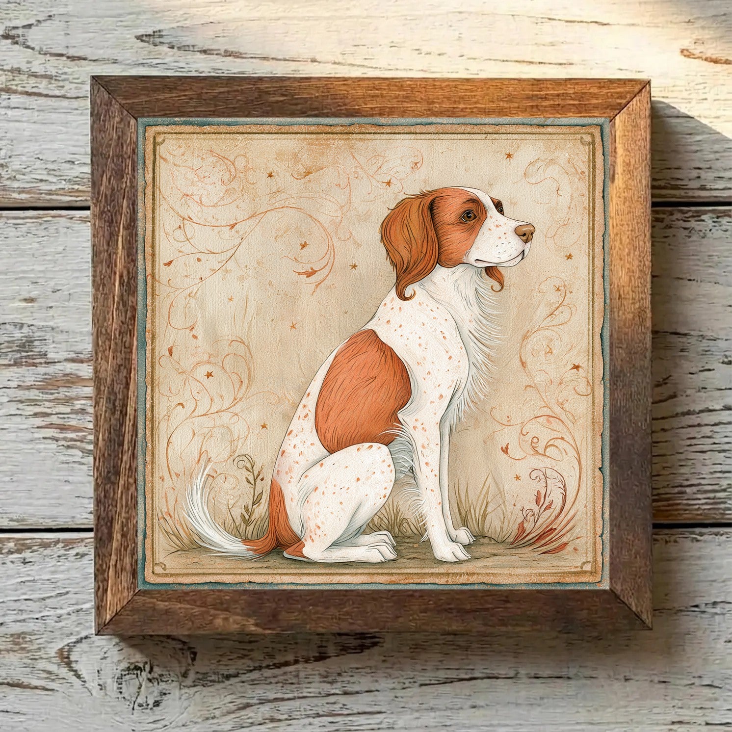 Brittany Orange & White - Variation 4