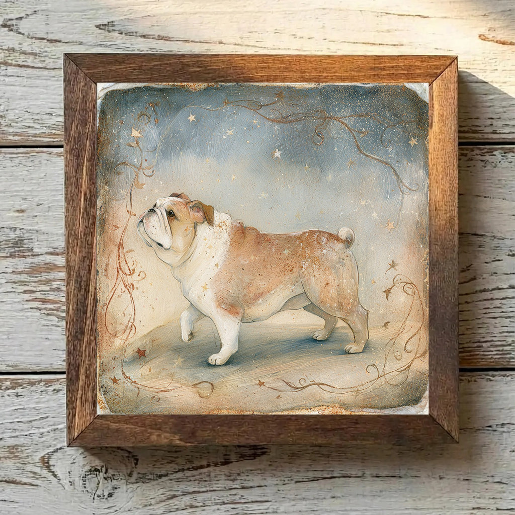 Bulldog Fawn - Variation 1