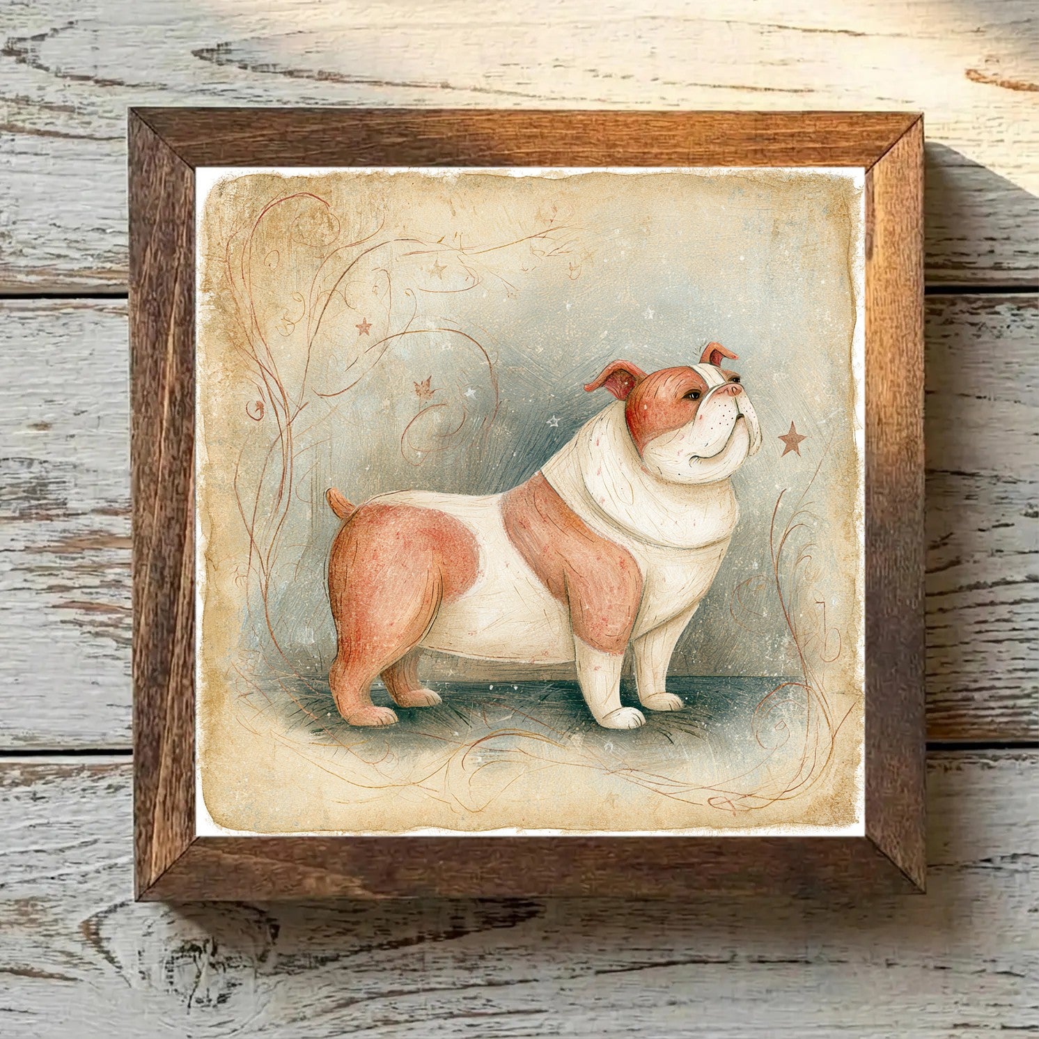Bulldog Fawn - Variation 2