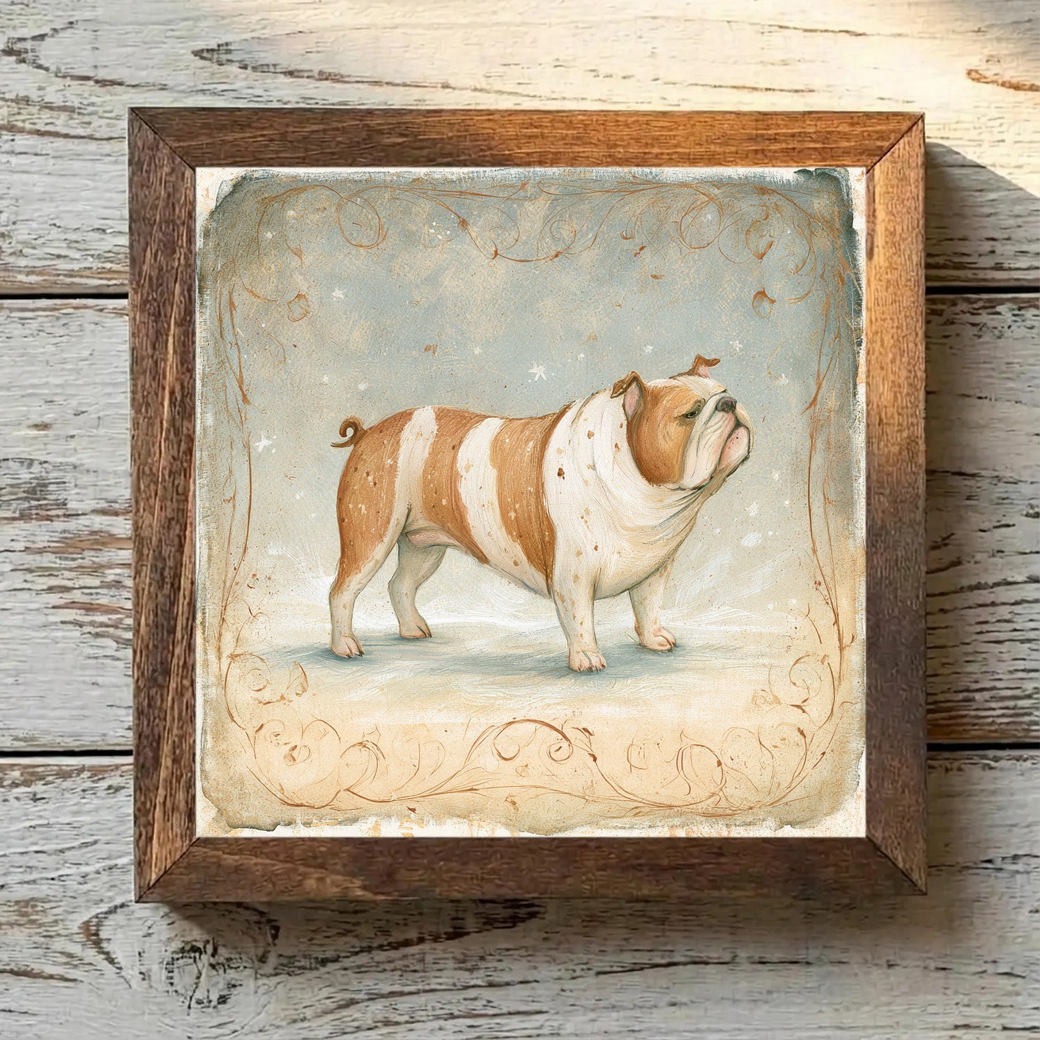 Bulldog Fawn - Variation 3