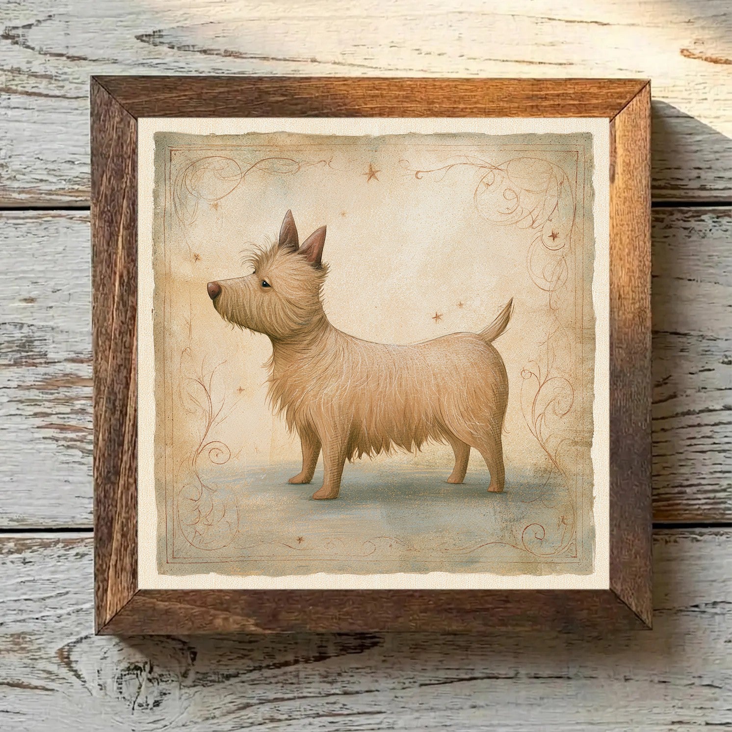 Cairn Terrier Wheaten - Variation 3