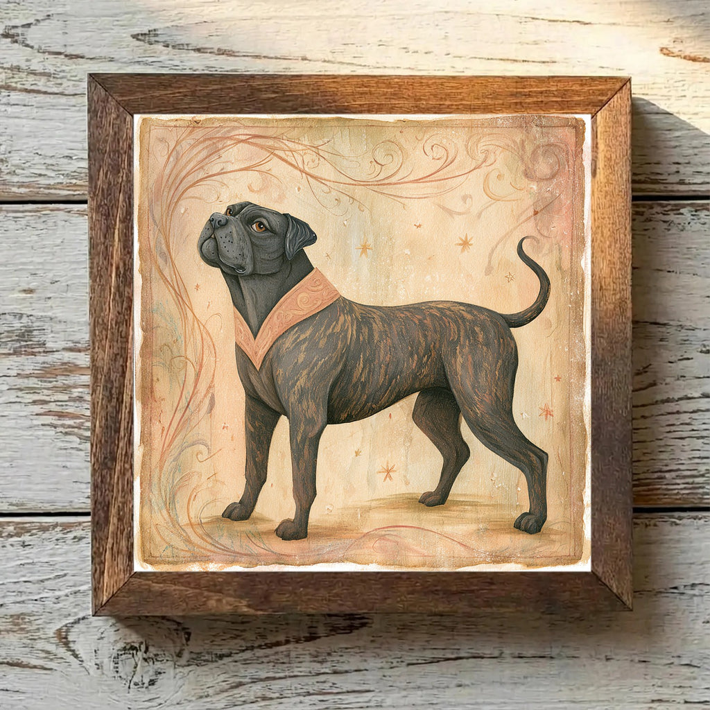 Cane Corso Chestnut Brindle - Variation 1