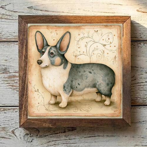Cardigan Welsh Corgi Blue Merle - Variation 1