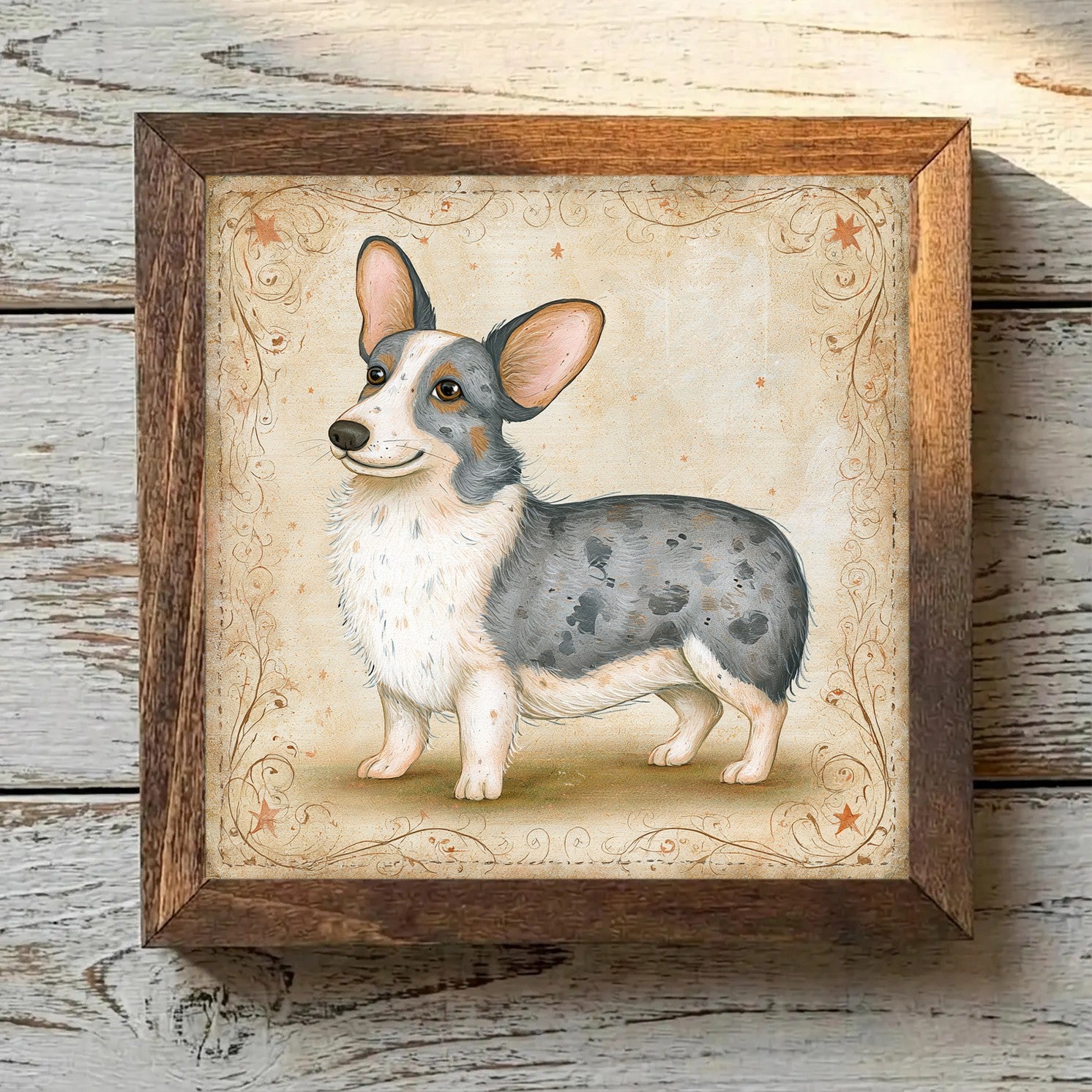 Cardigan Welsh Corgi Blue Merle - Variation 2