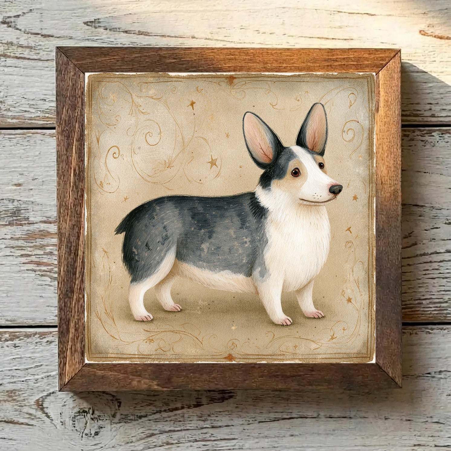 Cardigan Welsh Corgi Blue Merle - Variation 4