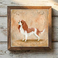 Cavalier King Charles Spaniel Blenheim - Variation 1